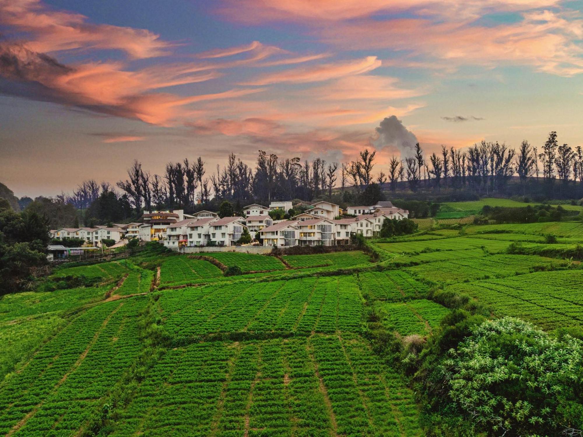 Mango Hill Shola Ooty Hotel Exterior photo